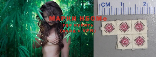 амф Богородицк