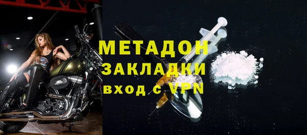 молекула духа Богданович