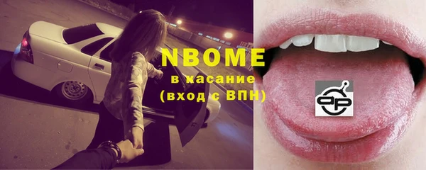 молекула духа Богданович