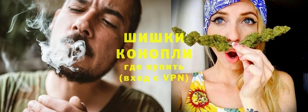 сатива Осташков