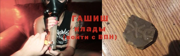 молекула духа Богданович
