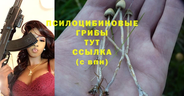 молекула духа Богданович