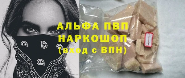 молекула духа Богданович