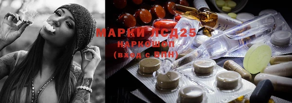молекула духа Богданович