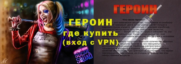 молекула духа Богданович