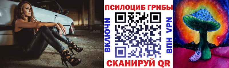 KRAKEN ТОР Михайловск Галлюциногенные грибы GOLDEN TEACHER